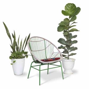 Bàn Ghế Cafe I Ghế Cafe Sắt Giá Rẻ I Bàn Ghế Cafe Sân Vườn